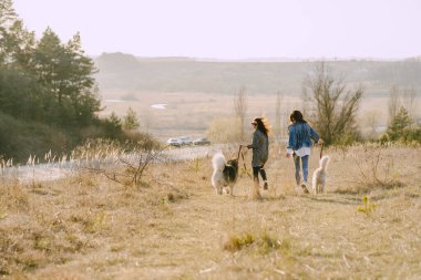 Bir bahar tarlasında köpekli iki şık kız.