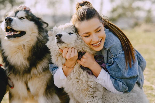 Chica con estilo en un campo de primavera con un perro — Foto de Stock