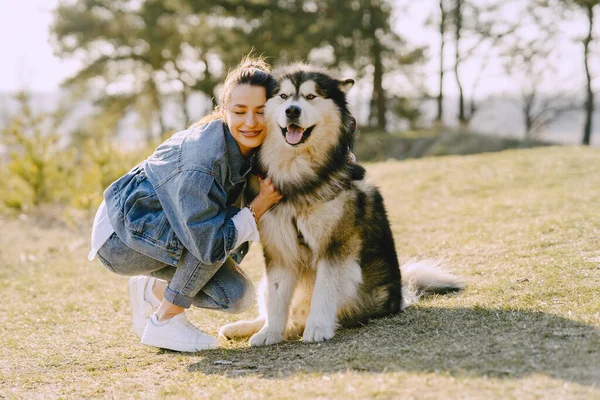 Menina elegante em um campo de primavera com um cão — Fotografia de Stock
