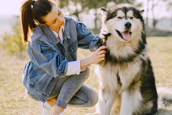 Köpeğiyle bahar tarlasında şık bir kız. — Stok fotoğraf