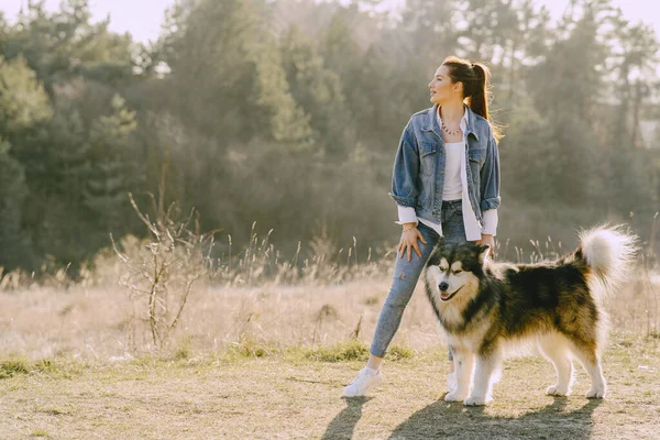 Stijlvol meisje in een lente veld met een hond — Stockfoto