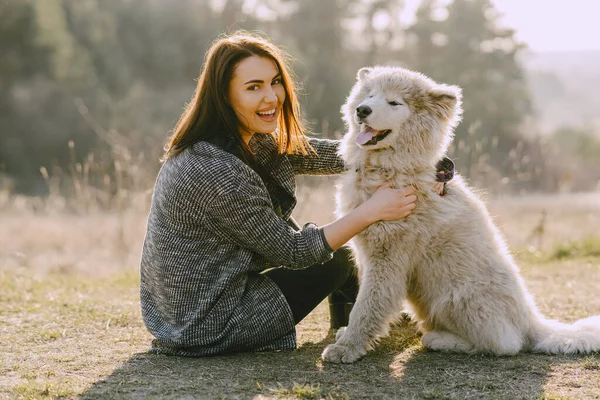 Chica con estilo en un campo de primavera con un perro — Foto de Stock