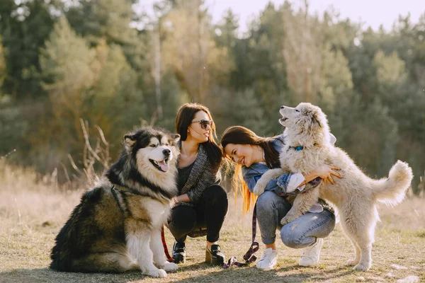 Duas meninas elegantes em um campo de primavera com um cão — Fotografia de Stock