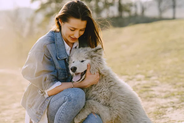 Chica con estilo en un campo de primavera con un perro — Foto de Stock