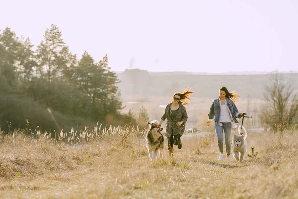 Due ragazze alla moda in un campo di primavera con un cane — Foto Stock