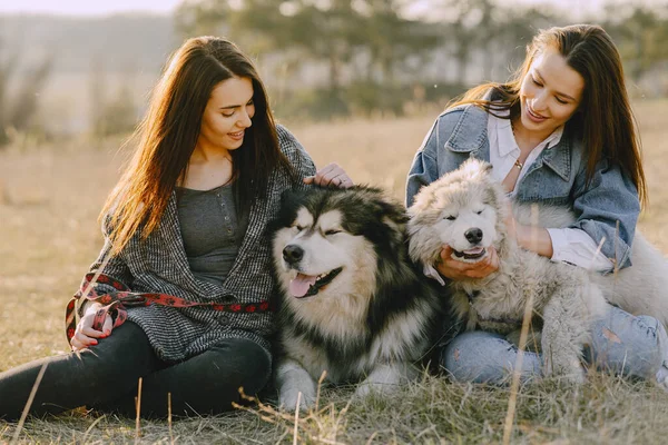 สาวสองคนมีสไตล์ในสนามฤดูใบไม้ผลิกับสุนัข — ภาพถ่ายสต็อก