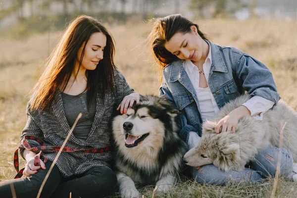 两个时髦的女孩在春天的田里带着一只狗 — 图库照片