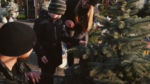 Szülők kisfiúval a piacon a Cristmas fát választják — Stock videók