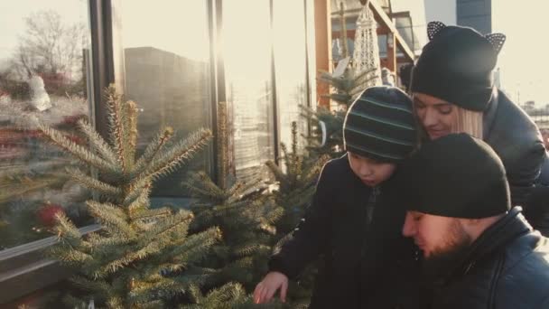 Padres con hijo pequeño eligiendo el árbol de cristmas en el mercado — Vídeo de stock