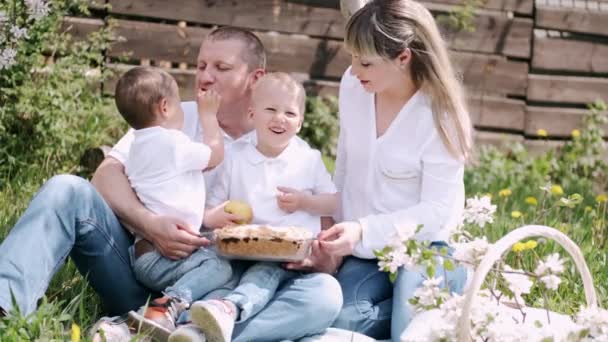 Retrato de pais com dois filhos pequenos fazendo piquenique — Vídeo de Stock