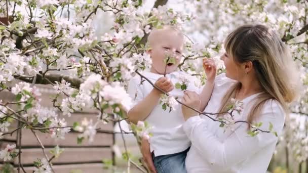 Mãe e filho pequeno de pé perto da árvore de floração na aldeia — Vídeo de Stock