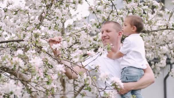 Pappa och lille son står nära blommande träd i byn — Stockvideo