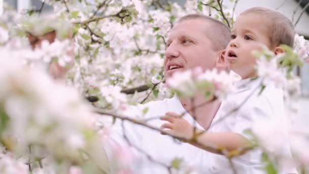 Vater und kleiner Sohn stehen neben blühendem Baum im Dorf — Stockvideo