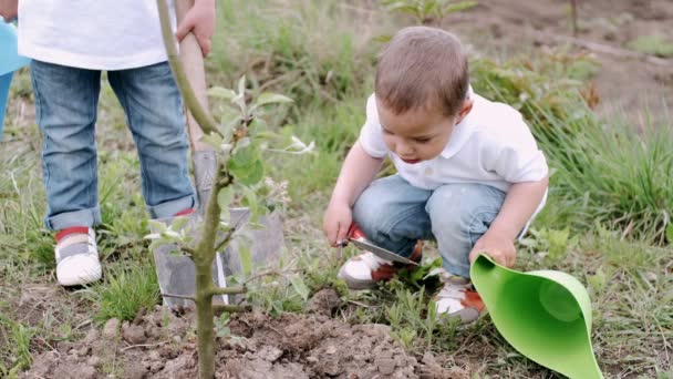 Zwei kleine Brüder mit Dosen zum Pflanzen — Stockvideo