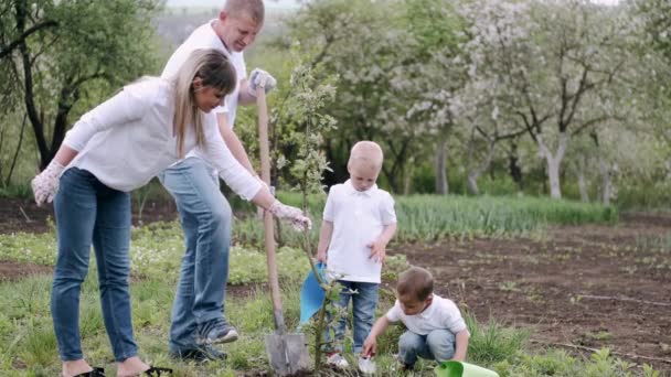 Pais e dois filhos pequenos plantando árvore na aldeia — Vídeo de Stock