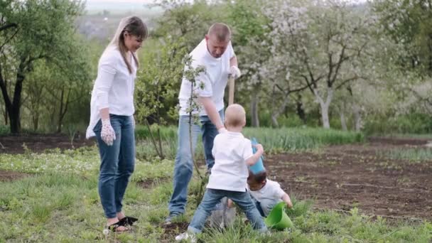 Föräldrar och två små söner planterar träd i byn — Stockvideo
