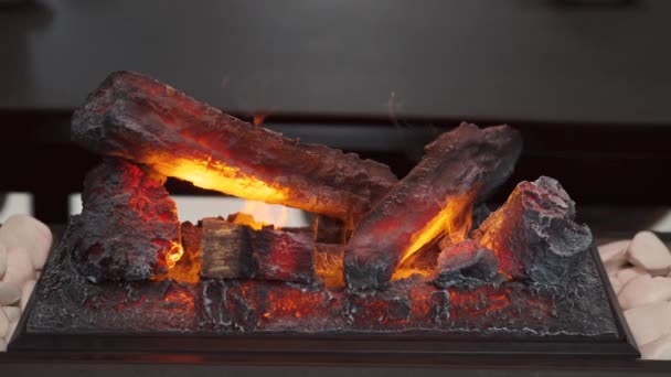 Gros plan de bois de chauffage brûlé par le feu — Video