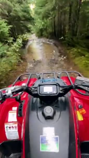 Blick von einem Quad im Regenwald — Stockvideo