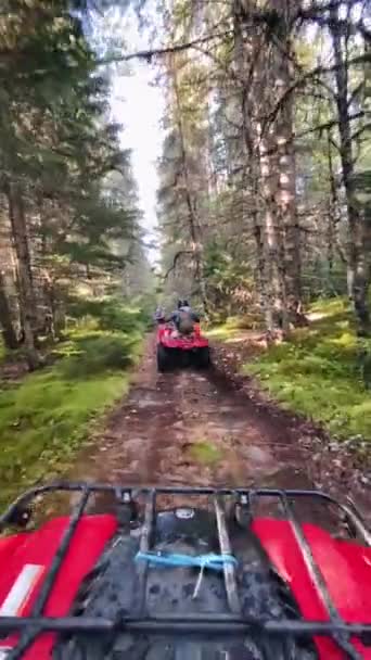 Vista desde una bicicleta cuádruple en la selva tropical — Vídeos de Stock