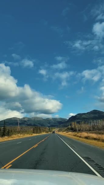 アメリカの自然における道路上の車からの眺め ストック映像