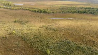 Alaska 'da vahşi doğa üzerine bir uçaktan görüntü