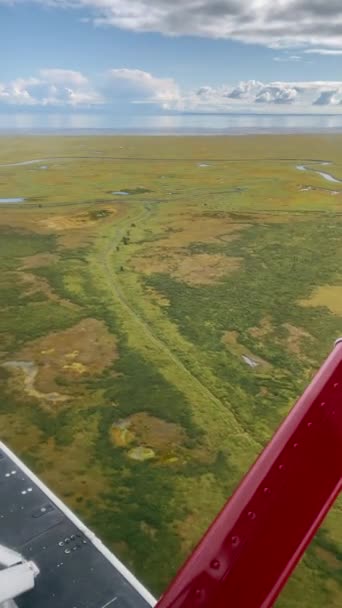 Vista de um avião na natureza selvagem no Alasca — Vídeo de Stock