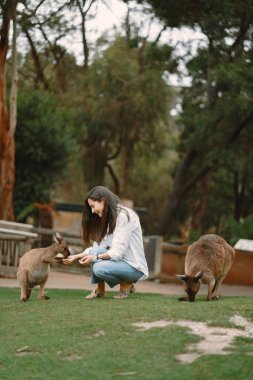 Yedek kulübesindeki kadın bir kanguruyla oynuyor.