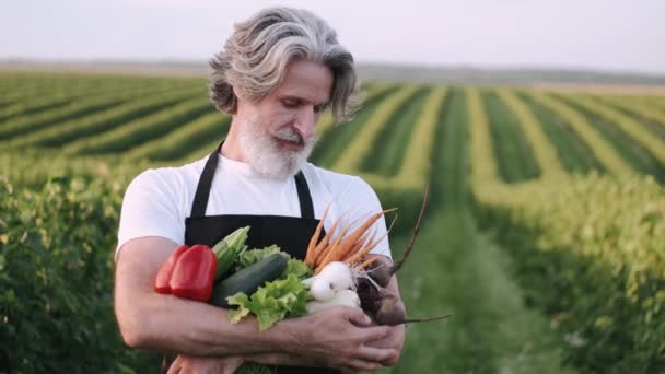 Elegante agricultor sênior segurando legumes no campo verde — Vídeo de Stock