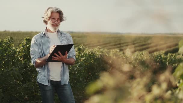 Зрелый уверенный в себе с ноутбуком, проходящим через поле подсолнухов — стоковое видео