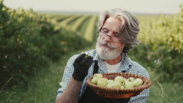 Verdadeiro agricultor está sentado no campo e olhando para suas maçãs orgânicas — Vídeo de Stock