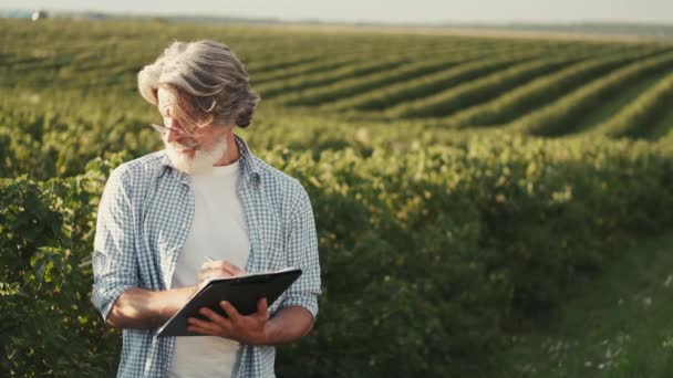 Reif selbstbewusst und mit Notizbuch durch ein Sonnenblumenfeld — Stockvideo