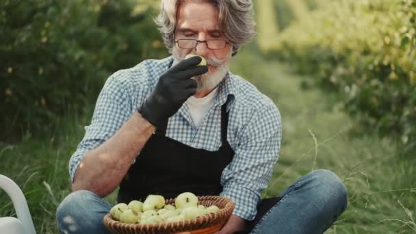 Справжній фермер сидить у полі і дивиться на свої органічні яблука — стокове відео