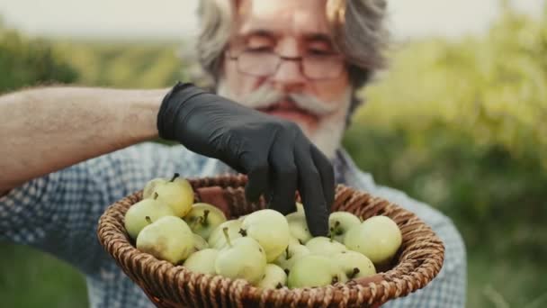 Wahrer Bauer sitzt auf dem Feld und betrachtet seine Bio-Äpfel — Stockvideo