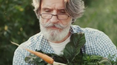 Çiftçi gün batımında bir çiftlikte organik sebzelerine bakıyor.