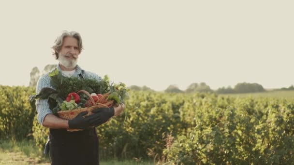 Alter Mann mit einer Kiste Bio-Gemüse auf einer Plantage — Stockvideo