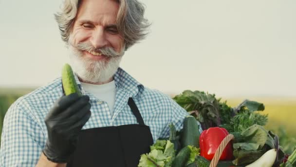 Agricultor mirando sus verduras orgánicas en una plantación al atardecer — Vídeo de stock