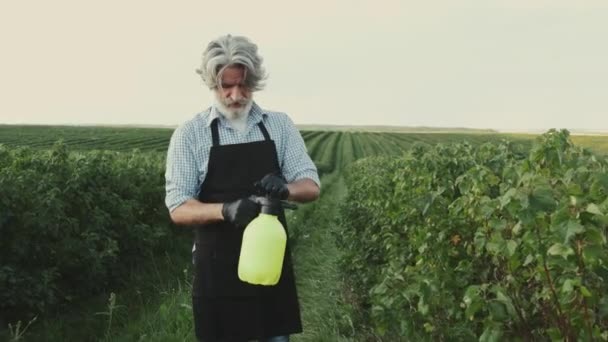 Agricultor sênior está regando as plantas com um pulverizador no campo — Vídeo de Stock