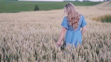 Sarışın bir kadının buğday tarlasında yürüdüğü arka plan