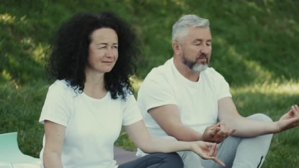 Fru och man mediterar tillsammans sitter på gräsmattan i en park — Stockvideo