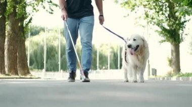 Beyaz bastonlu ve rehber köpekli genç kör bir adam parkta yürüyor.