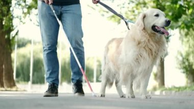 Beyaz bastonlu ve rehber köpekli genç kör bir adam parkta yürüyor.