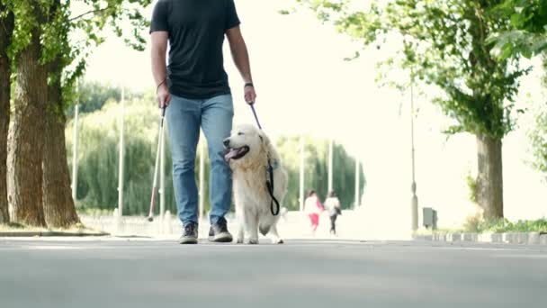 Beyaz bastonlu ve rehber köpekli genç kör bir adam parkta yürüyor. — Stok video