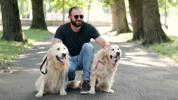 Слепой мужчина с собаками-поводырями сидит на тротуаре в парке — стоковое видео