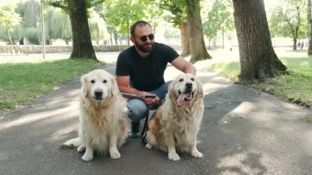 Blind man with guide dogs sitting in park — Stock Video