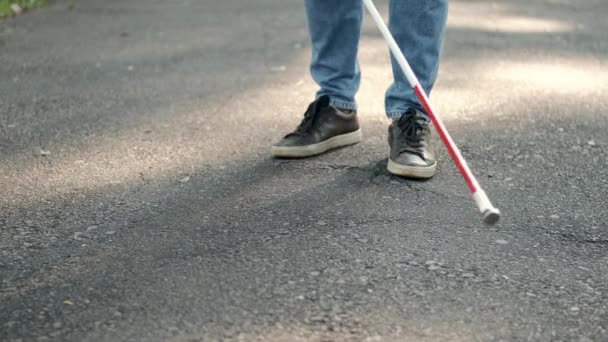 Ung blind man går i parken — Stockvideo