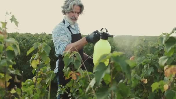 Agricultor sênior está regando as plantas com um pulverizador no campo — Vídeo de Stock