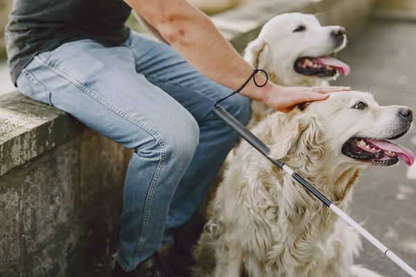 Hombre ciego con perro guía en una ciudad de verano — Foto de Stock