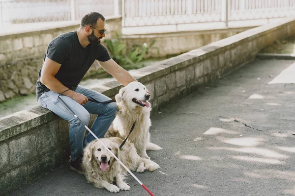 Blind man with guide dog in a summer city