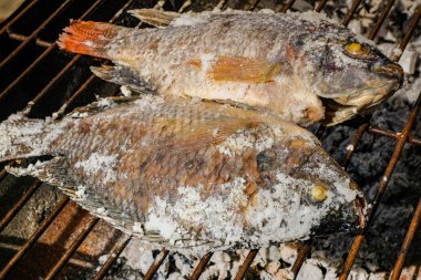 Kömür sobası tilapia balık ızgara