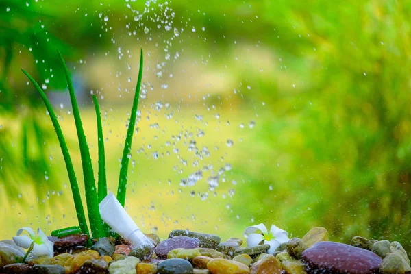 White Cream Tube Aloe Vera Rocks Splashing Water Flowers — Stock Photo, Image